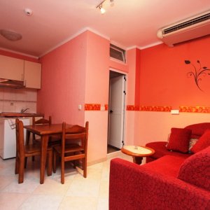 Suite for rent № 206, 130 m from the sea in Rafailovići (40 m2)