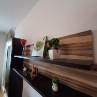 Аренда квартиры 49 кв.м. с 1-й спальней в Будве до 4-х чел 300 м от моря и ТЦ TQ PLAZA (Ольга и Сергей)